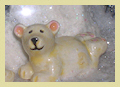 Orso polare